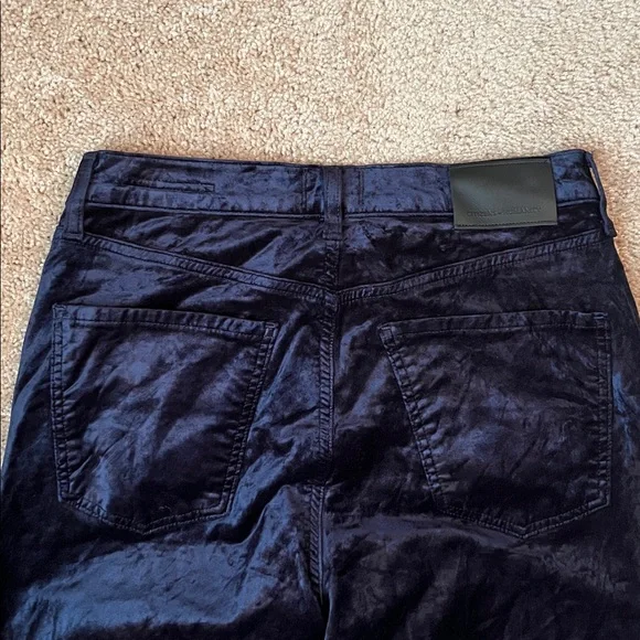 Citizens of Humanity Paloma Velvet Wide Pants - Picture 9 of 15